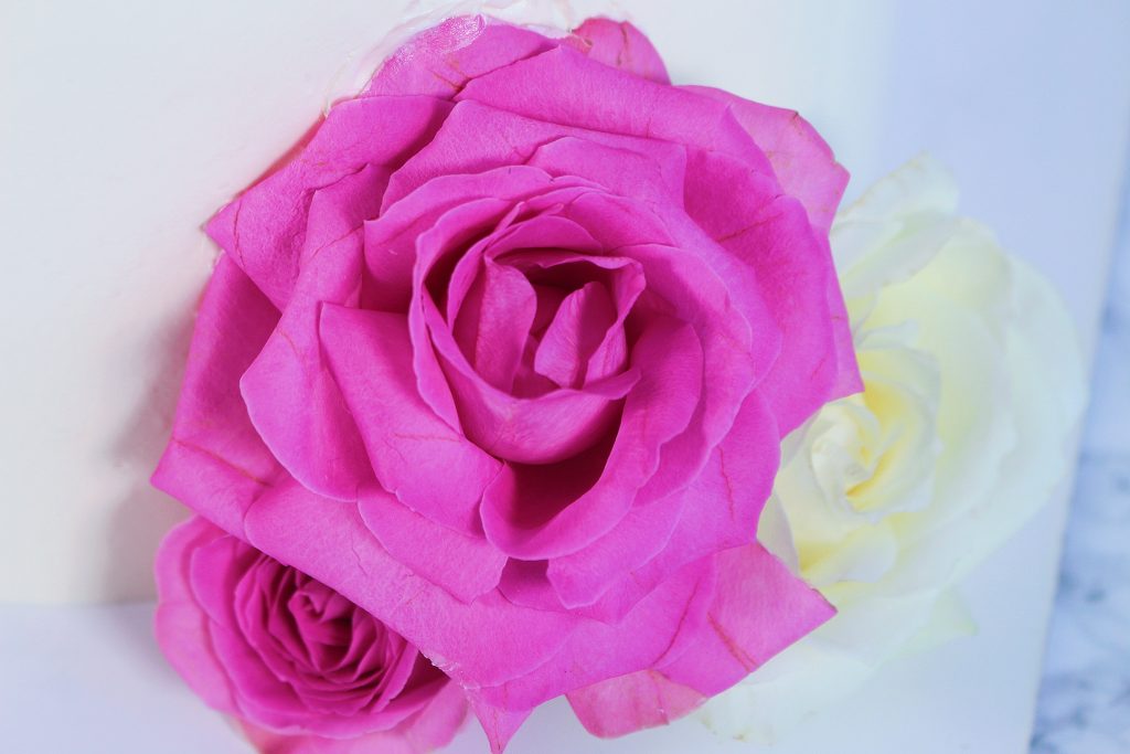Décor fleur naturelle